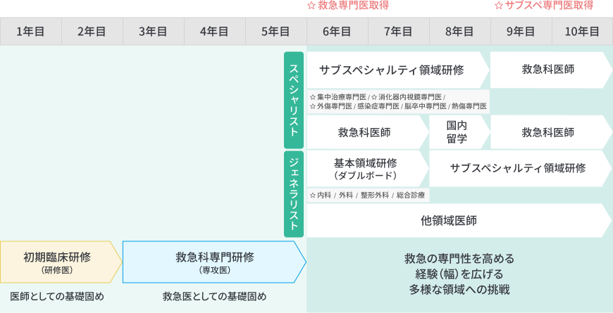 救急科専攻医のキャリアプラン図。1-2年目は初期臨床研修（研修医）、3-5年目は救急科専門研修（専攻医）で基礎を固め、6-10年目はスペシャリストとジェネラリストの2つのキャリアパスに分かれます。スペシャリストはサブスペシャルティ領域（集中治療、消化器内視鏡、外傷、感染症、脳卒中、熱傷など）の専門医取得や国内留学を経て救急科医師へ。ジェネラリストは基本領域のダブルボード取得（内科、外科、整形外科、総合診療）後、サブスペシャルティ領域研修へ進みます。