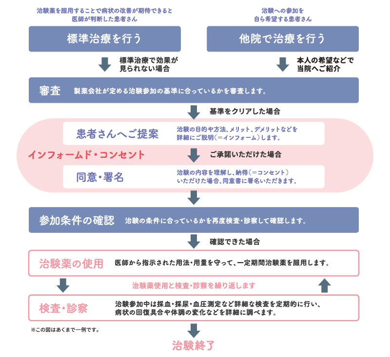 治験はこのように進められます。